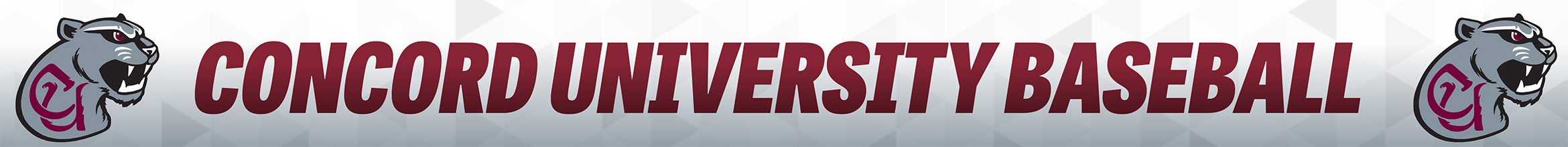 Concord University Baseball